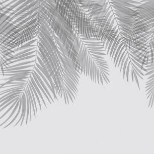 輸入壁紙 カスタム壁紙 PHOTOWALL / Hanging Palm Leaves - Gray (e321940)