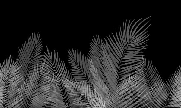 輸入壁紙 カスタム壁紙 PHOTOWALL / Swaying Palm Leaves - Black-White (e321948)