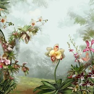 輸入壁紙 カスタム壁紙 PHOTOWALL / Orchids Garden (e322236)