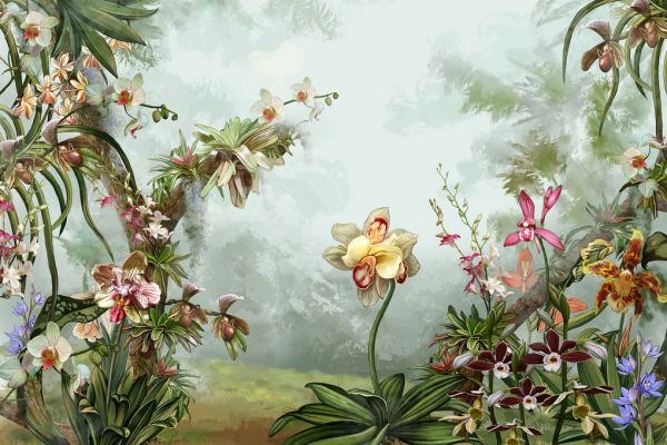 輸入壁紙 カスタム壁紙 PHOTOWALL / Orchids Garden (e322236)