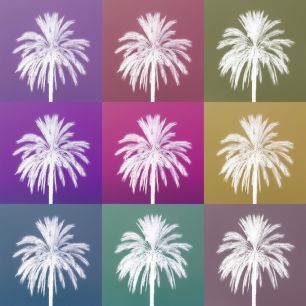 輸入壁紙 カスタム壁紙 PHOTOWALL / Palm Trees Set (e321139)