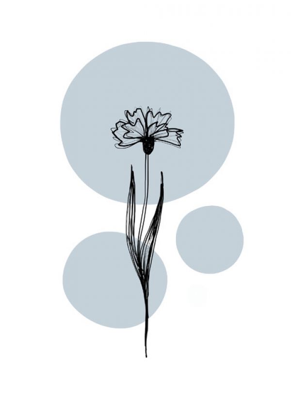 輸入壁紙 カスタム壁紙 PHOTOWALL / Delicate Botanicals - Cornflower (e322877)