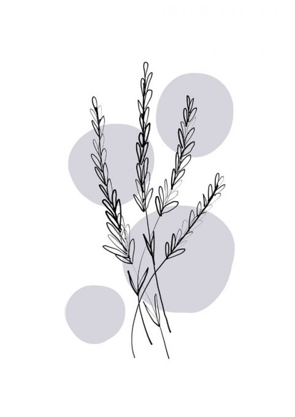 輸入壁紙 カスタム壁紙 PHOTOWALL / Delicate Botanicals - Lavender (e322878)
