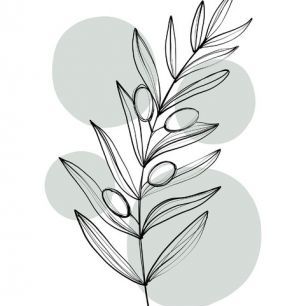 輸入壁紙 カスタム壁紙 PHOTOWALL / Delicate Botanicals - Olive (e322880)