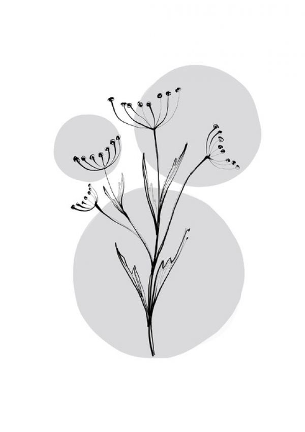 輸入壁紙 カスタム壁紙 PHOTOWALL / Delicate Botanicals - Wild Carrot (e322884)