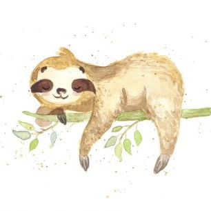 輸入壁紙 カスタム壁紙 PHOTOWALL / Sloth (e322907)