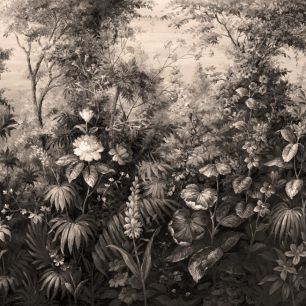 輸入壁紙 カスタム壁紙 PHOTOWALL / Deific Botanica - Sepia (e323186)