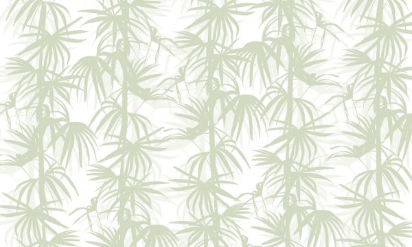 輸入壁紙 カスタム壁紙 PHOTOWALL / Stylistic Palms - Green (e323193)