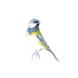 輸入壁紙 カスタム壁紙 PHOTOWALL / Watercolor Songbirds (e320466)