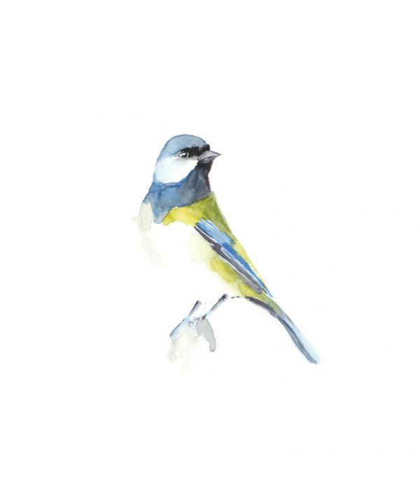 輸入壁紙 カスタム壁紙 PHOTOWALL / Watercolor Songbirds (e320466)