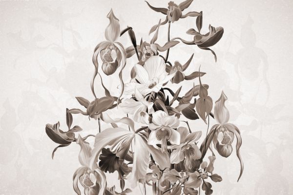 輸入壁紙 カスタム壁紙 PHOTOWALL / Blooming Orchids - Sepia (e322840)