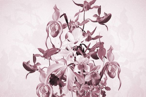 輸入壁紙 カスタム壁紙 PHOTOWALL / Blooming Orchids - Violet (e322841)