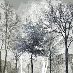輸入壁紙 カスタム壁紙 PHOTOWALL / Winter Blues in the Woods (e323385)