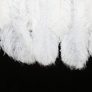 輸入壁紙 カスタム壁紙 PHOTOWALL / Hanging Feathers - Black (e321263)