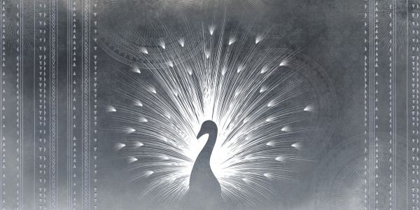 輸入壁紙 カスタム壁紙 PHOTOWALL / Peacock Deco (e323221)
