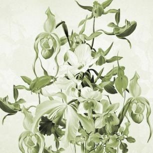 輸入壁紙 カスタム壁紙 PHOTOWALL / Blooming Orchids - Green (e323271)