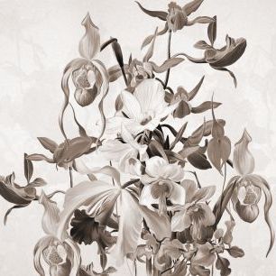 輸入壁紙 カスタム壁紙 PHOTOWALL / Blooming Orchids - Sepia (e323273)
