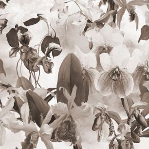 輸入壁紙 カスタム壁紙 PHOTOWALL / Orchid Harmony - Sepia (e323279)