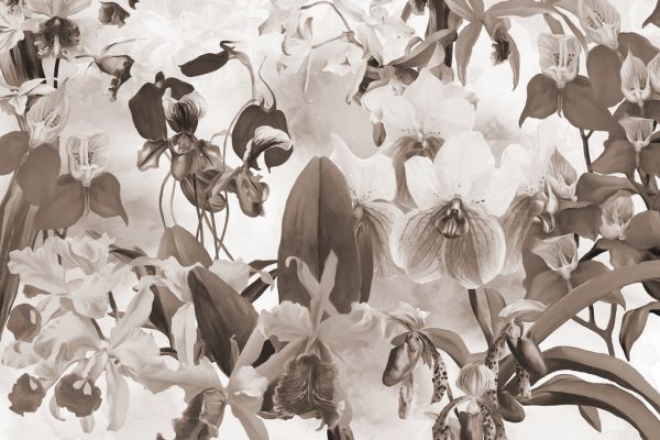 輸入壁紙 カスタム壁紙 PHOTOWALL / Orchid Harmony - Sepia (e323279)