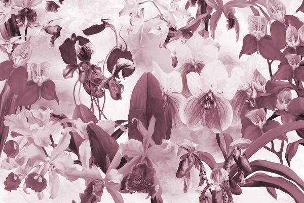 輸入壁紙 カスタム壁紙 PHOTOWALL / Orchid Harmony - Violet (e323280)