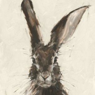 輸入壁紙 カスタム壁紙 PHOTOWALL / European Hare (e321378)