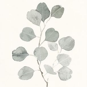 輸入壁紙 カスタム壁紙 PHOTOWALL / Delicate Sage Botanical (e321390)