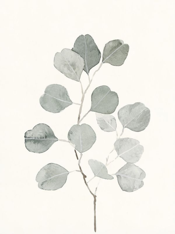輸入壁紙 カスタム壁紙 PHOTOWALL / Delicate Sage Botanical (e321390)