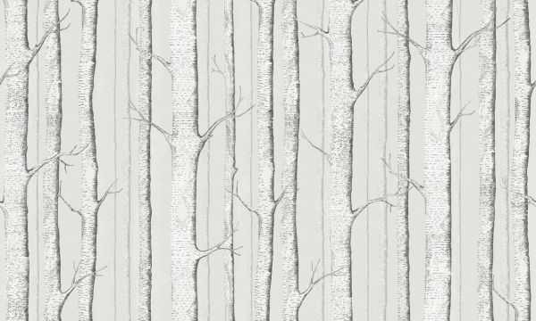 輸入壁紙 カスタム壁紙 PHOTOWALL / Birch Trees - Soft Begie (e323694)