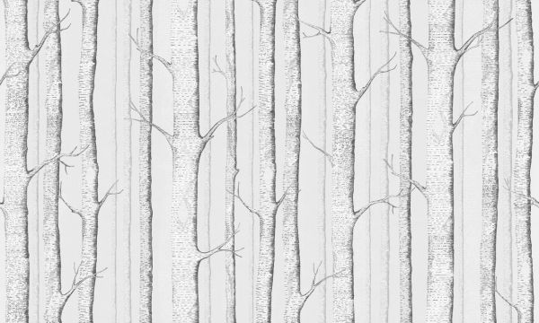 輸入壁紙 カスタム壁紙 PHOTOWALL / Birch Trees - Soft Gray (e323695)