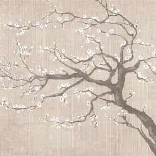 輸入壁紙 カスタム壁紙 PHOTOWALL / Sakura Spring IIII (e323708)