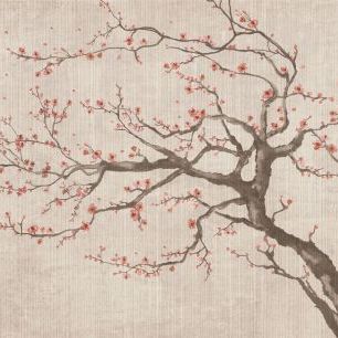 輸入壁紙 カスタム壁紙 PHOTOWALL / Sakura Spring VII (e323711)