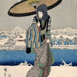 輸入壁紙 カスタム壁紙 PHOTOWALL / Utagawa Hiroshige - Infographics (e322137)