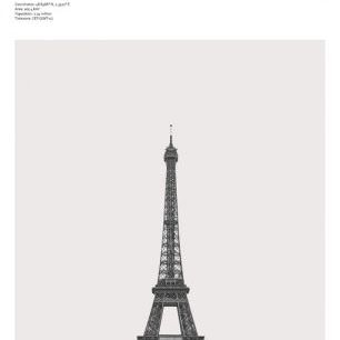輸入壁紙 カスタム壁紙 PHOTOWALL / City Paris II (e323340)