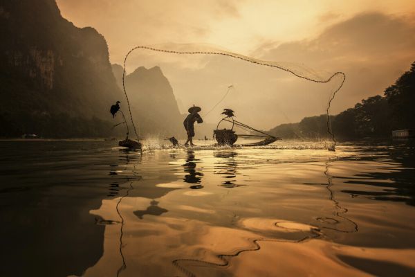 輸入壁紙 カスタム壁紙 PHOTOWALL / Spread the Fish Nets (e323672)