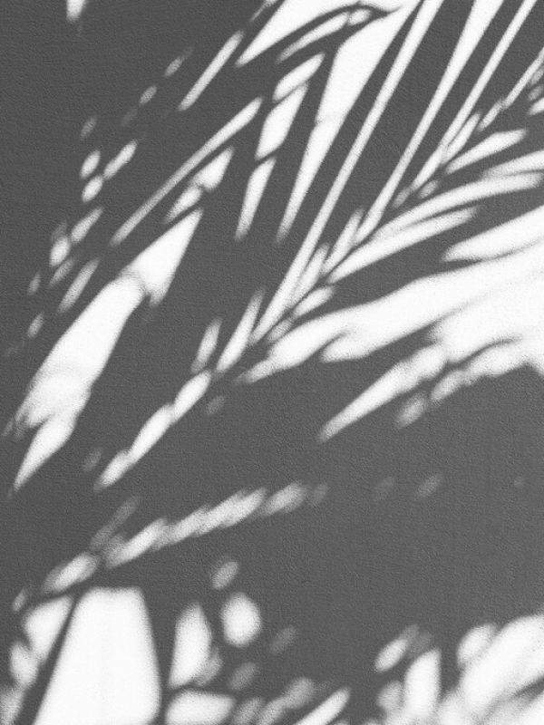 輸入壁紙 カスタム壁紙 PHOTOWALL / Shadow Lead Black and White (e323531)