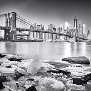 輸入壁紙 カスタム壁紙 PHOTOWALL / New York - Brooklyn Bridge (e324013)