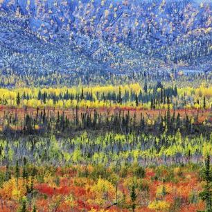 輸入壁紙 カスタム壁紙 PHOTOWALL / Fall Color in The Mountain (e324454)