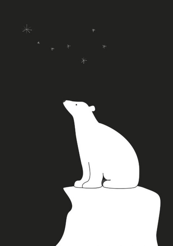 輸入壁紙 カスタム壁紙 PHOTOWALL / Polar Bear - Black (e325969)