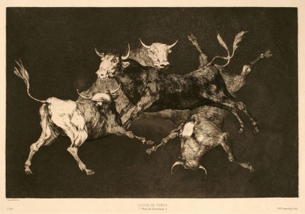 輸入壁紙 カスタム壁紙 PHOTOWALL / Francisco De Goya Y Lucientes - Infographics (e322369)