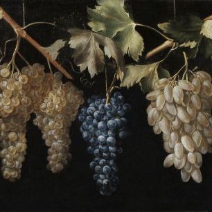 輸入壁紙 カスタム壁紙 PHOTOWALL / Four Bunches of Hanging Grapes - Juan Fernandez (e325869)