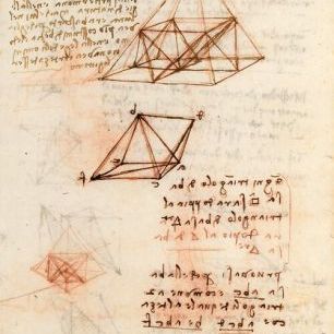 輸入壁紙 カスタム壁紙 PHOTOWALL / Codex Madrid II - Leonardo Da Vinci (e325883)