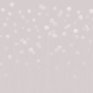 輸入壁紙 カスタム壁紙 PHOTOWALL / Dandelion Field - Soft Pink (e326668)