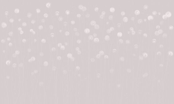輸入壁紙 カスタム壁紙 PHOTOWALL / Dandelion Field - Soft Pink (e326668)