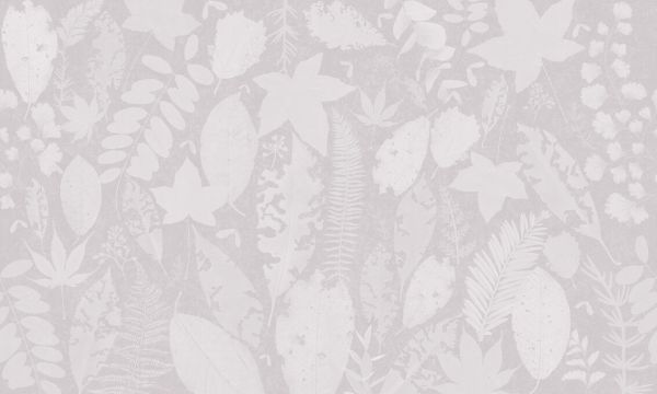 輸入壁紙 カスタム壁紙 PHOTOWALL / Leaf Potpourri - Powder Pink (e326675)