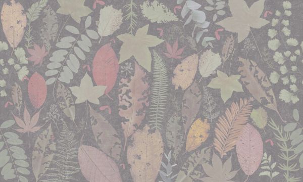 輸入壁紙 カスタム壁紙 PHOTOWALL / Leaf Potpourri - Warm Gray (e326676)