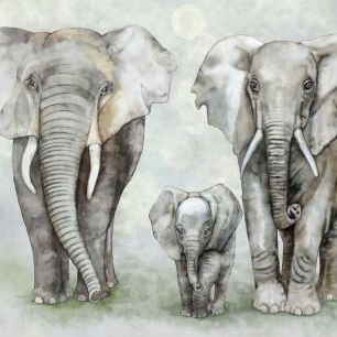 輸入壁紙 カスタム壁紙 PHOTOWALL / Elephant Family (e326485)