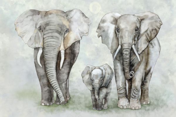 輸入壁紙 カスタム壁紙 PHOTOWALL / Elephant Family (e326485)