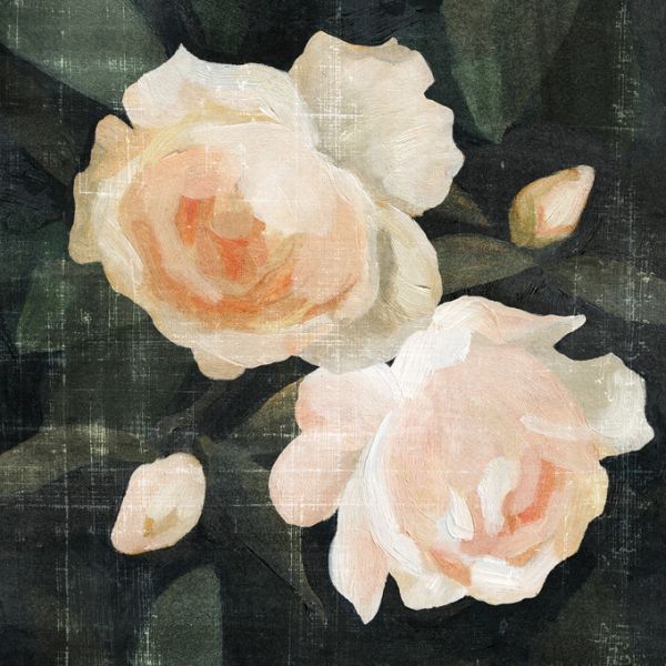 輸入壁紙 カスタム壁紙 PHOTOWALL / Soft Garden Roses (e324611)
