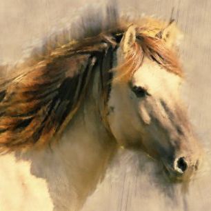輸入壁紙 カスタム壁紙 PHOTOWALL / Blended Horse (e324702)