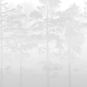 輸入壁紙 カスタム壁紙 PHOTOWALL / Misty Pine Forest - Grey (e327620)